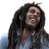 传记 Bob Marley