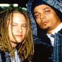 传记 Bomfunk Mc`s