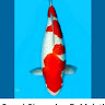 User_10660