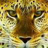 User_10961