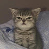 User_11135