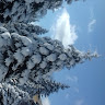 User_11237