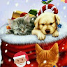 User_12775