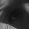 User_12899