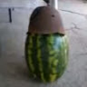 User_2812