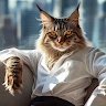 User_3623