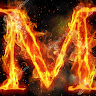 User_4911