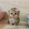 User_4980