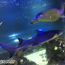 User_6762