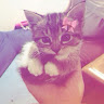 User_7079
