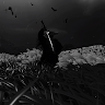 User_7293
