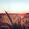 User_7602