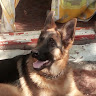 User_7732
