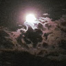 User_8196