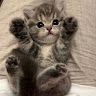 User_8356