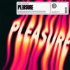 封面 HAWK - Pleasure (feat. Azooland) HAWK - Pleasure (feat. Azooland)