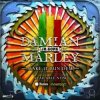 封面 Skrillex & Damian "Jr. Gong" Marley - Make It Bun Dem Skrillex & Damian "Jr. Gong" Marley - Make It Bun Dem