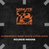 封面 WHOWHENWHY, Guest Who & Haylee Wood - Sounds Insane (Extended Mix) WHOWHENWHY, Guest Who & Haylee Wood - Sounds Insane (Extended Mix)