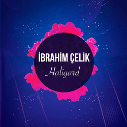 封面 Dj Ibrahim Celik - Haligard