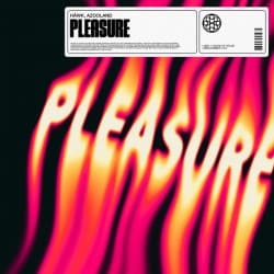 封面 HAWK - Pleasure (feat. Azooland)