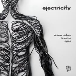 封面 Vintage Culture, Fancy Inc, Meca - Electricity
