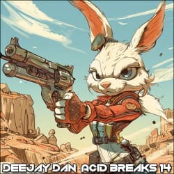 封面 Acid Breaks 14 [2024]