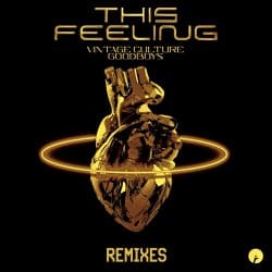 封面 Vintage Culture feat. Goodboys - This Feeling (Velvet Mode And Chris Arna Remix)