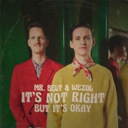 封面 Mr. Belt & Wezol - It's Not Right (But It's Ok)