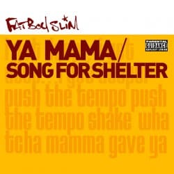 封面 Fatboy Slim - Song for Shelter