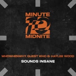 封面 WHOWHENWHY, Guest Who & Haylee Wood - Sounds Insane (Extended Mix)