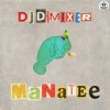 封面 DJ DimixeR - Manatee DJ DimixeR - Manatee