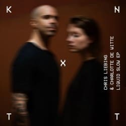 封面 Chris Liebing & Charlotte De Witte - In Memory
