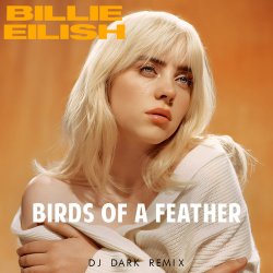 封面 Billie Eilish - Birds Of A Feather