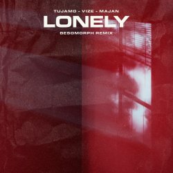 封面 Tujamo feat. VIZE & Majan - Lonely (Besomorph Remix)