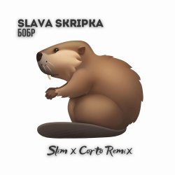 封面 Slava Skripka - Бобр (Slim x Corto Remix)