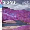 Sigala - With You (feat. Ely Oaks)
