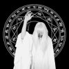 封面 Mr. Kitty - Shadow Dancer Mr. Kitty - Shadow Dancer