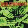 封面 Dub Syndicate - Guns & Cocaine Crime Dub Syndicate - Guns & Cocaine Crime