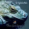封面 Eguana - In The Forest Eguana - In The Forest