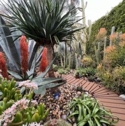 封面 Echo Gardens - Den nich