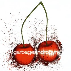 封面 Garbage - Androgyny