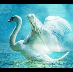 封面 Lacross - Save Me (Swan Lake)