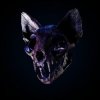 封面 Darci - Wild Horse Darci - Wild Horse
