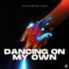 封面 Pulsedriver - Dancing On My Own Pulsedriver - Dancing On My Own