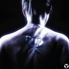 封面 Pirapus - WERK Pirapus - WERK
