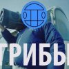 封面 Грибы - Тает Лёд Грибы - Тает Лёд