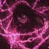 封面 DJ Anemia & Crier & Sixnite - This Feeling (Slowed) DJ Anemia & Crier & Sixnite - This Feeling (Slowed)