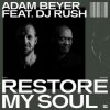 封面 DJ Rush - Restore My Soul DJ Rush - Restore My Soul