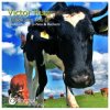 封面 Victor Ruiz - I Look Into You Victor Ruiz - I Look Into You
