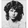 封面 The Doors - Wild Child The Doors - Wild Child